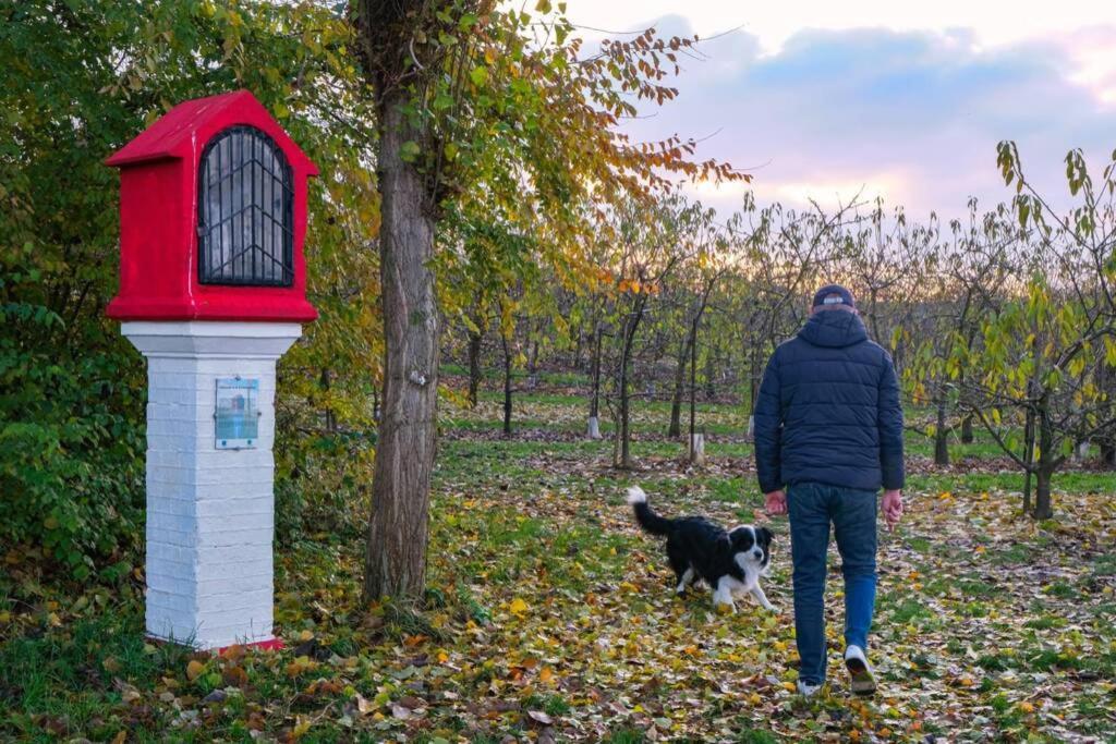 Hasbania Vakantiewoning Gingelom Exteriér fotografie