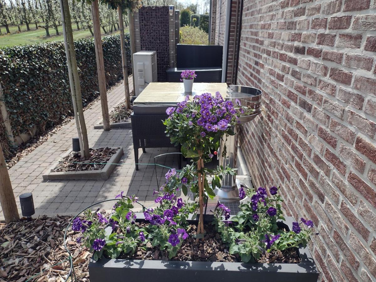 Hasbania Vakantiewoning Gingelom Exteriér fotografie